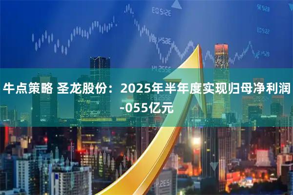牛点策略 圣龙股份：2025年半年度实现归母净利润-055亿元