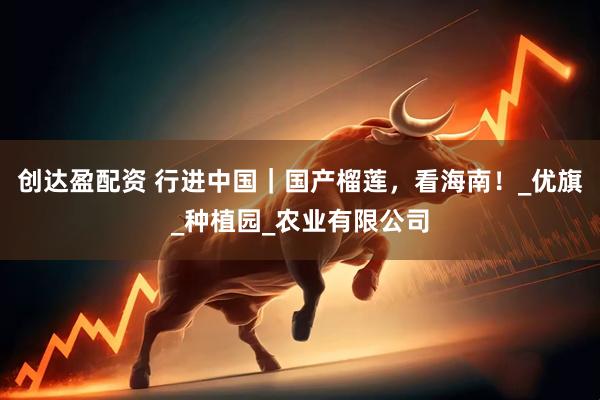创达盈配资 行进中国｜国产榴莲，看海南！_优旗_种植园_农业有限公司