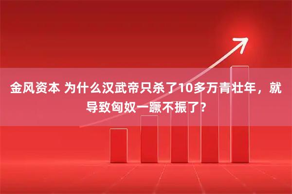 金风资本 为什么汉武帝只杀了10多万青壮年，就导致匈奴一蹶不振了？